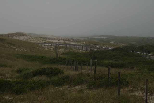 Island Beach State Park